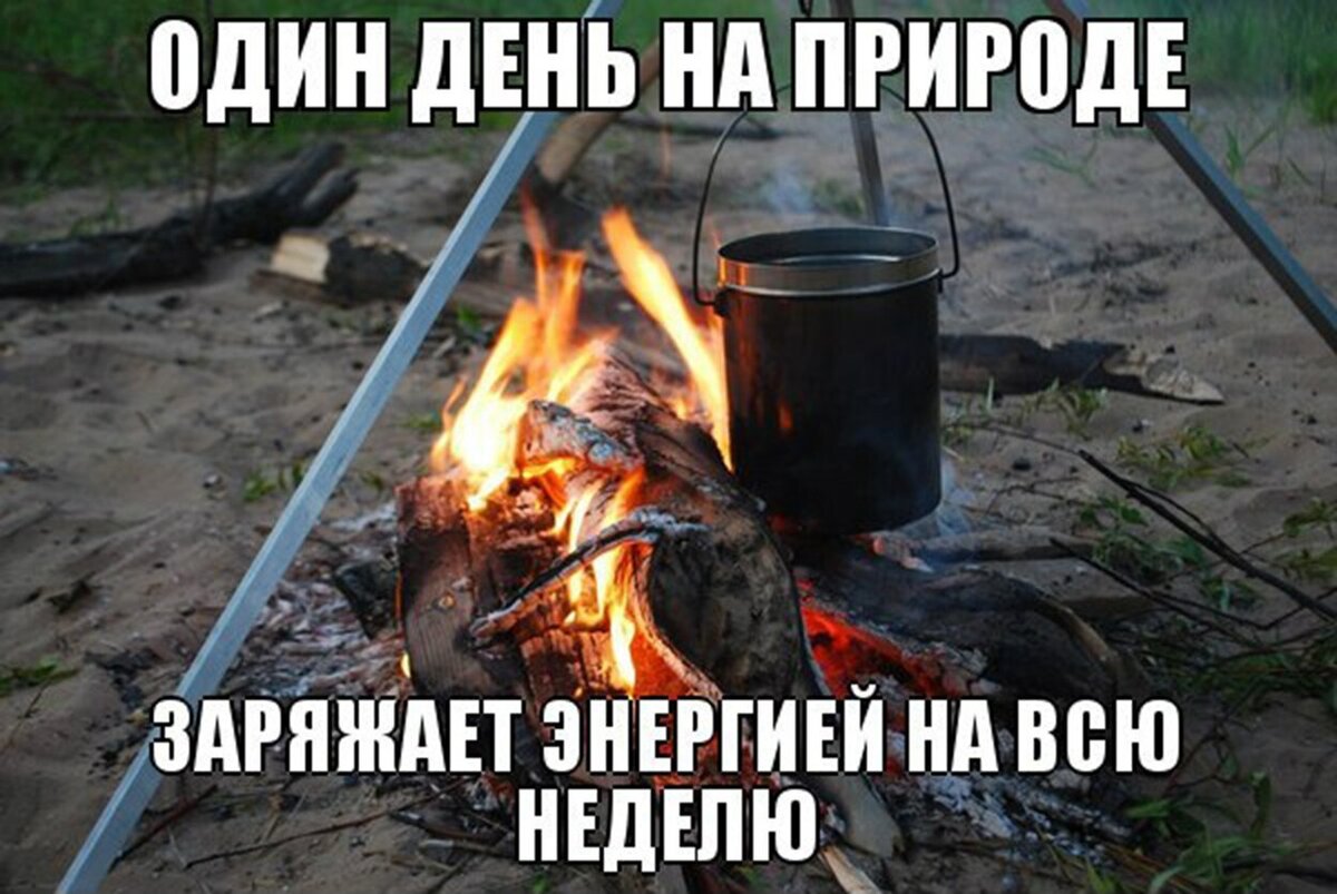 Едем на природу картинки прикольные