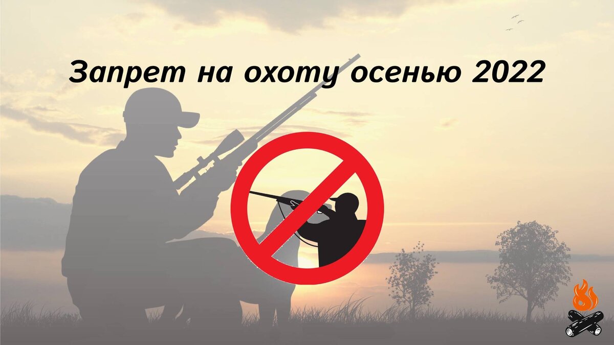 охота осенью 2022