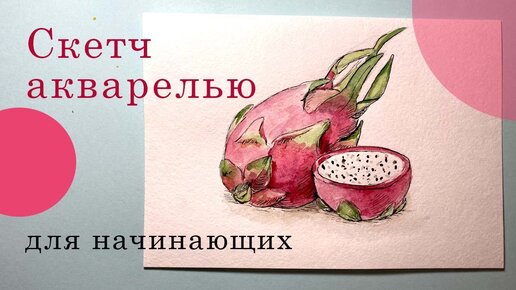 Скетчинг акварелью онлайн. Рисуем Драконий фрукт акварелью