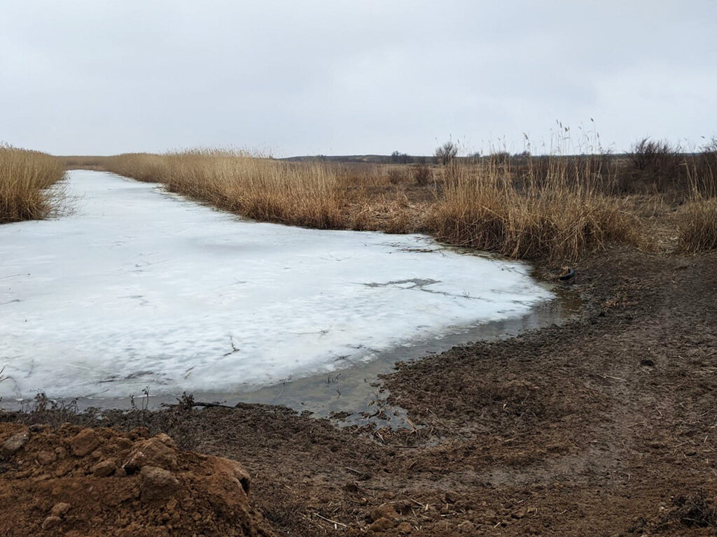 В Астрахани завершаются работы по созданию электронной базы данных ильменей  в дельте Волги | AST-NEWS.RU - АСТРАХАНСКИЕ НОВОСТИ | Дзен