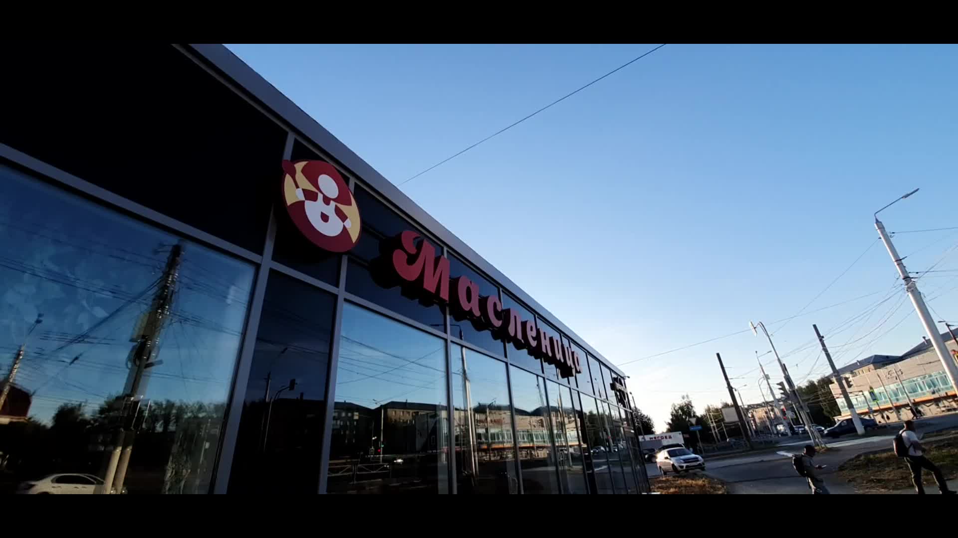 березняк логопед. н. березняк схема. сукцессия восстановление елового леса. структура елово леса ярусность.