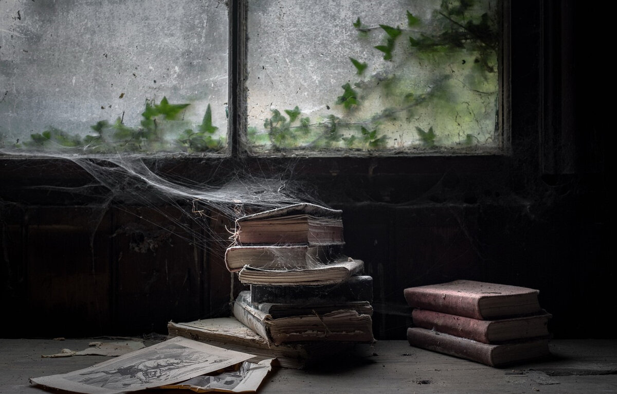 Картинка из открытых источников Яндекс