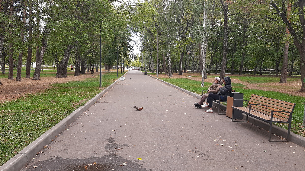 Фото автора: Московский парк, СВАО.