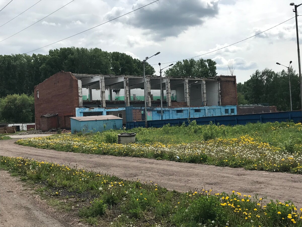 Спортивный комплекс родник. Киселёвск Родник спортивный комплекс. Родник Киселевск машзавод. Родник город Киселевск. Родник Киселевск бассейн.