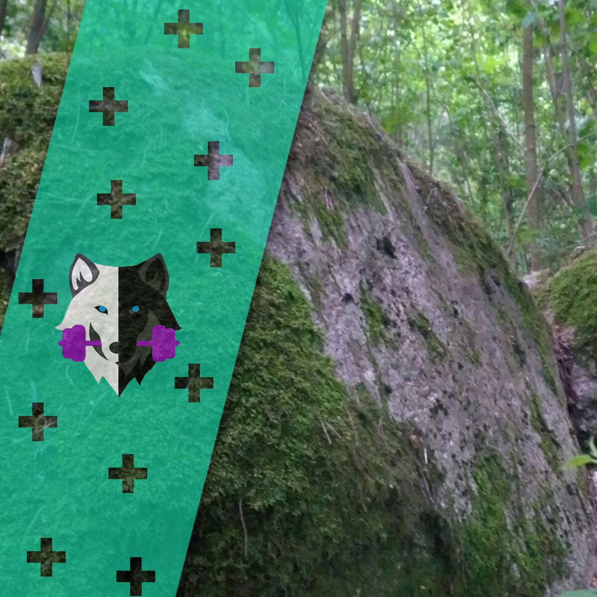 Подписывайтесь на Крепыш