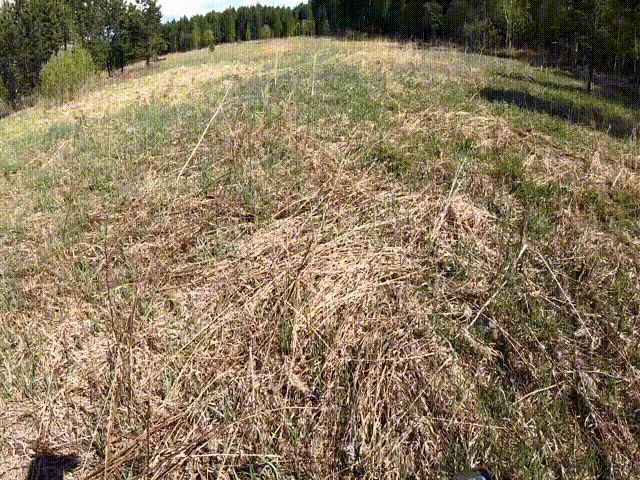 Прошел по краю поля. 