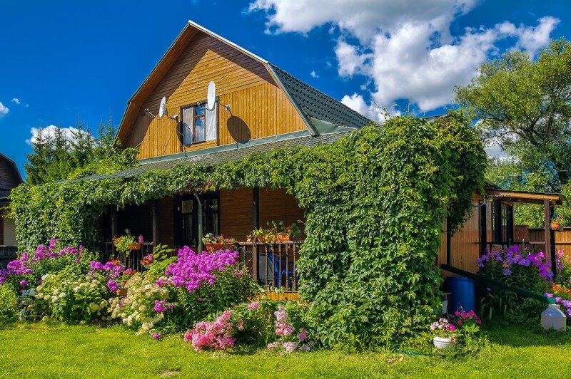 Фото из открытого источника в интернете