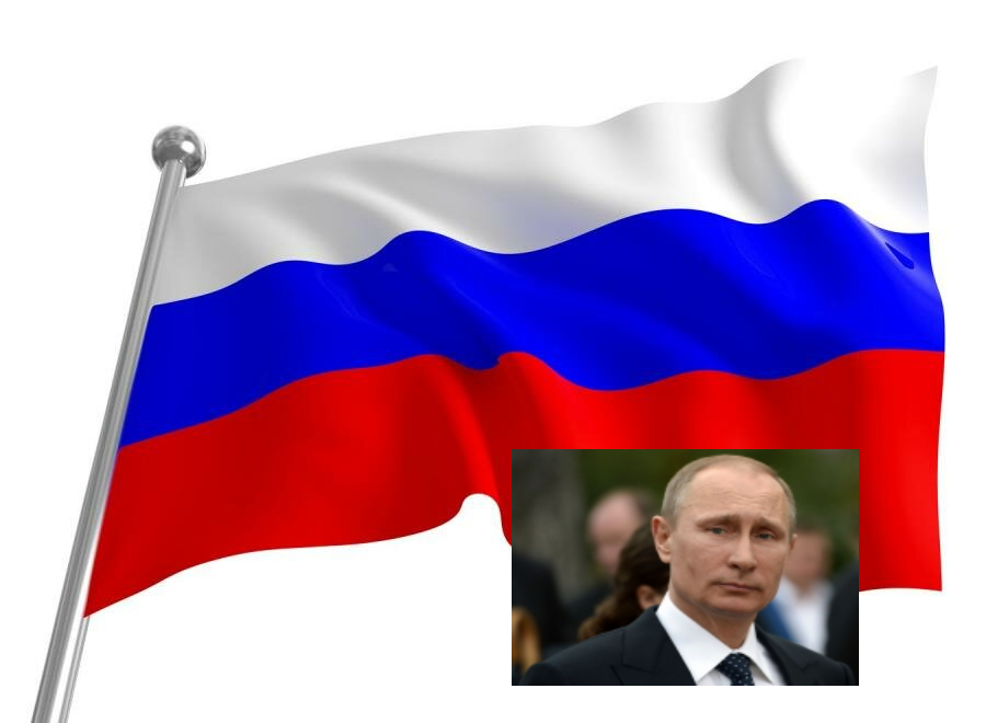 Не люблю Шнурова