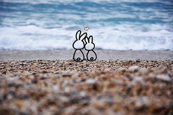 Фото из открытого источника