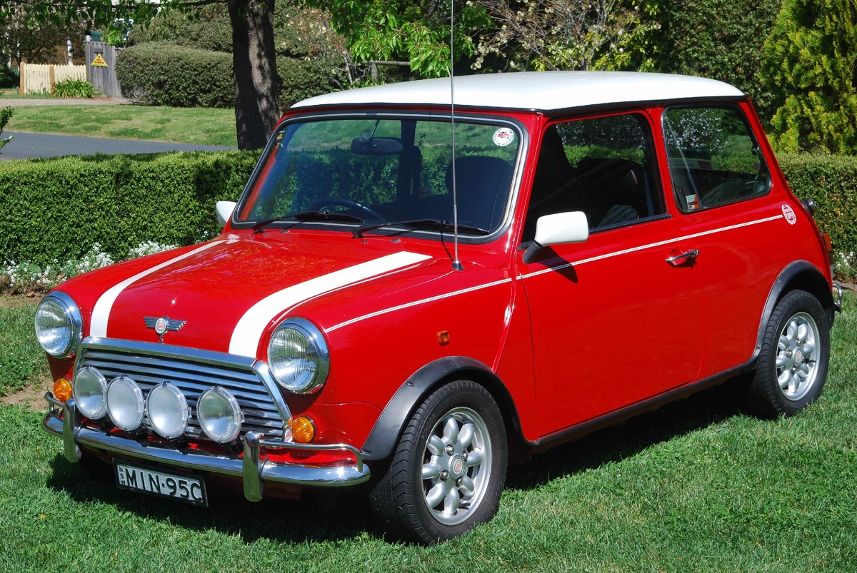 Mini (Фото Яндекс картинки)