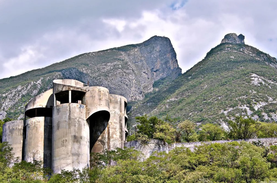 Фото Яндекс Картинки.