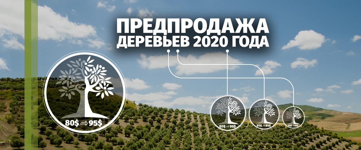 Изображение с сайта https://biodeposit.ge/promotion/reserve