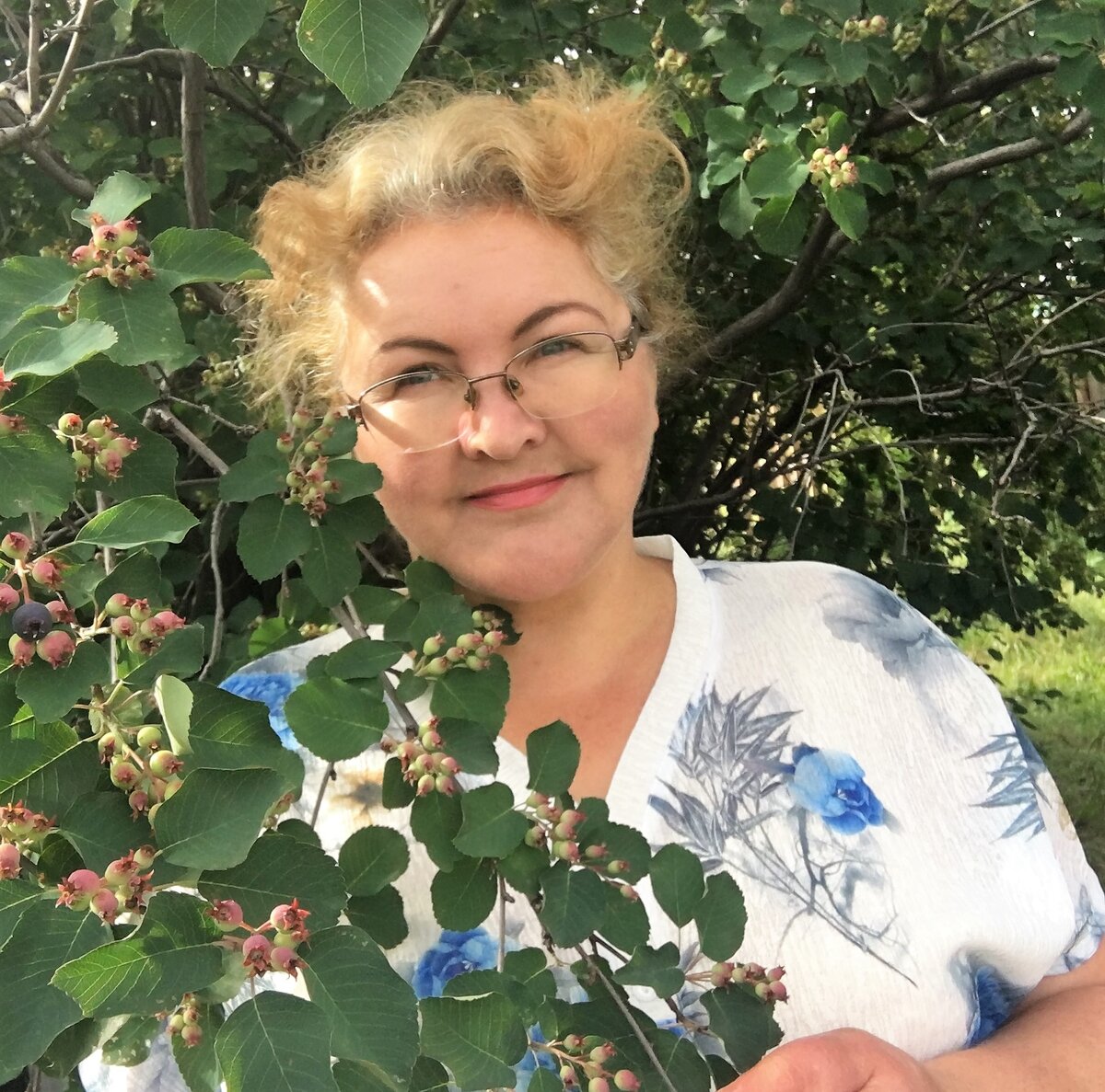 Урожай ирги будет хорошим. Уже начинает созревать