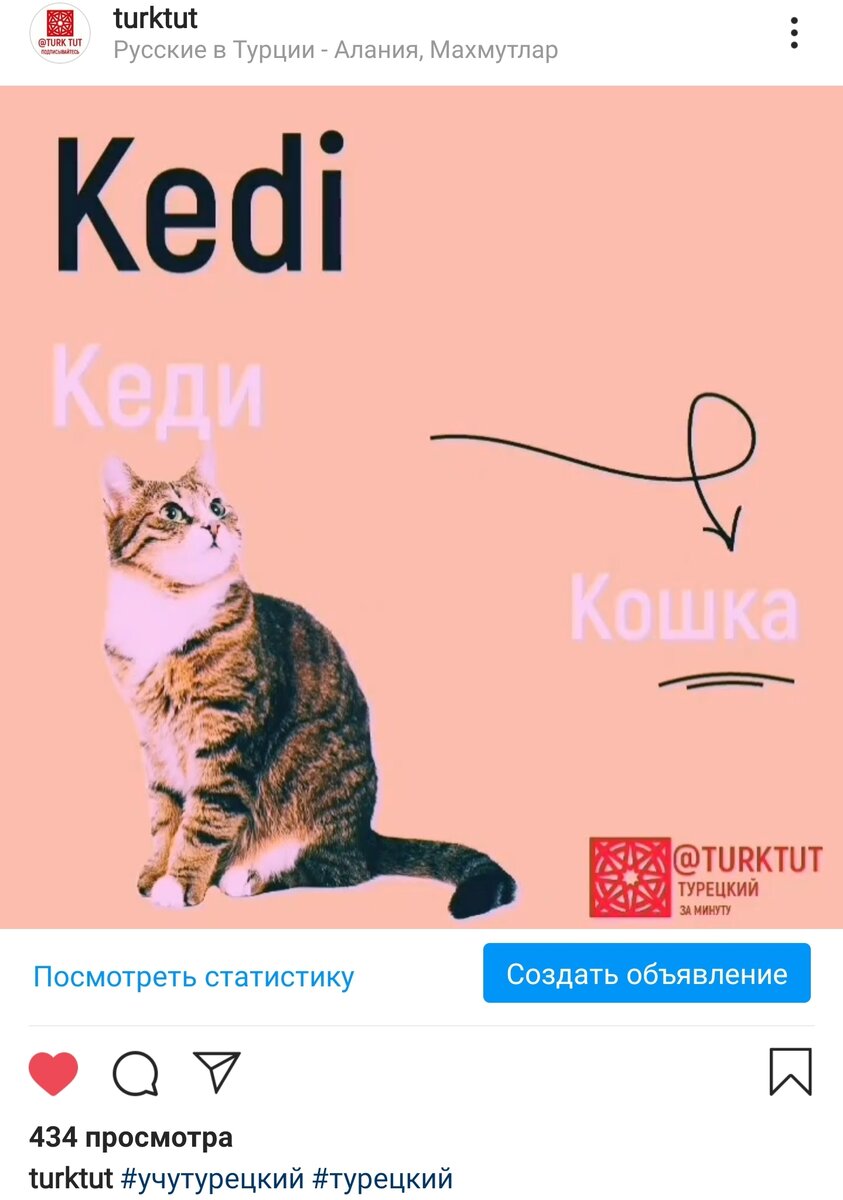Источник инстаграм @turktut