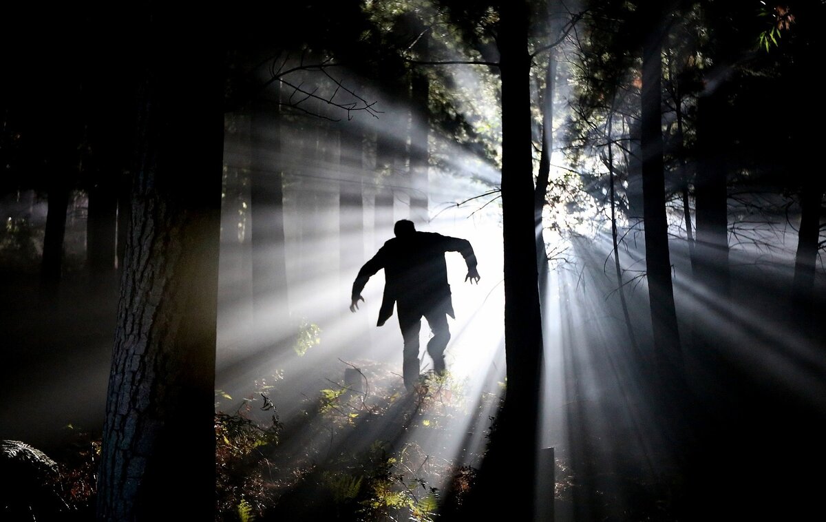 Фото с сайта https://pixabay.com/ru/