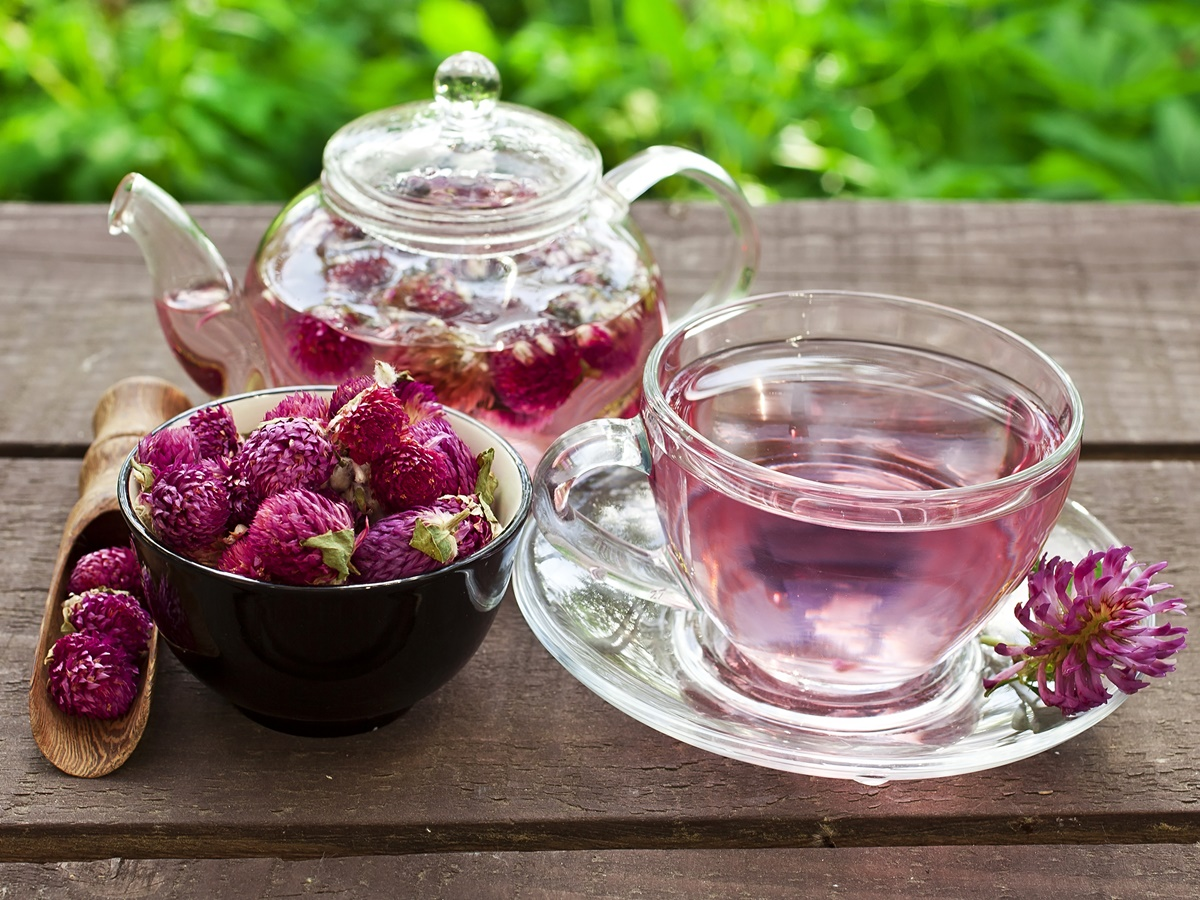 Лечебный чай с красным клевером от кашля.