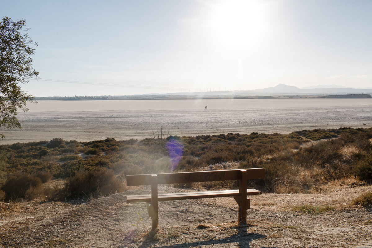 скамейка для удобства лицезрения