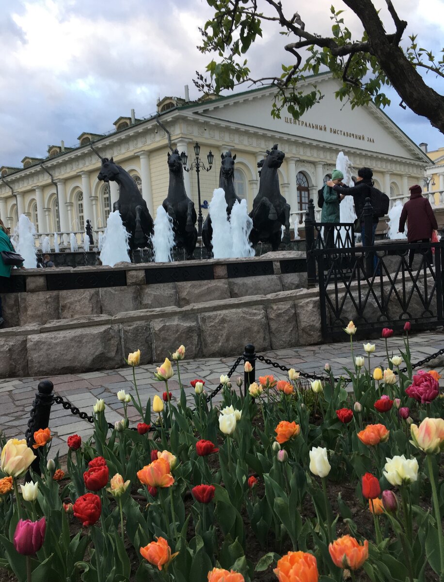 Манеж. Май 2019 года