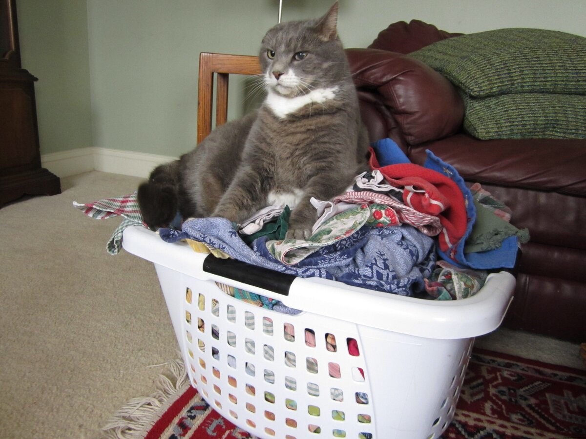 У-уф, устирался!