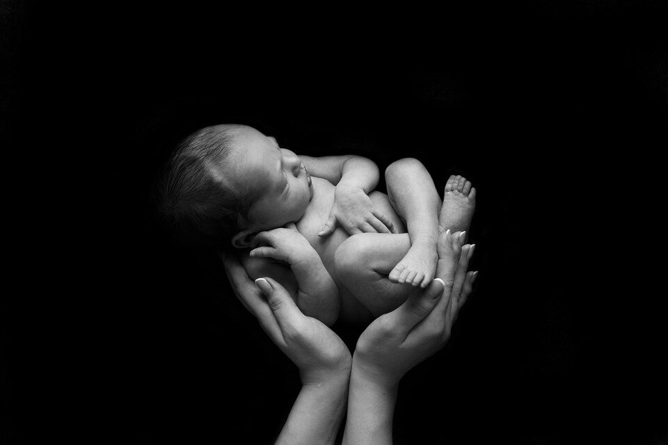 фото из яндекс.картинок