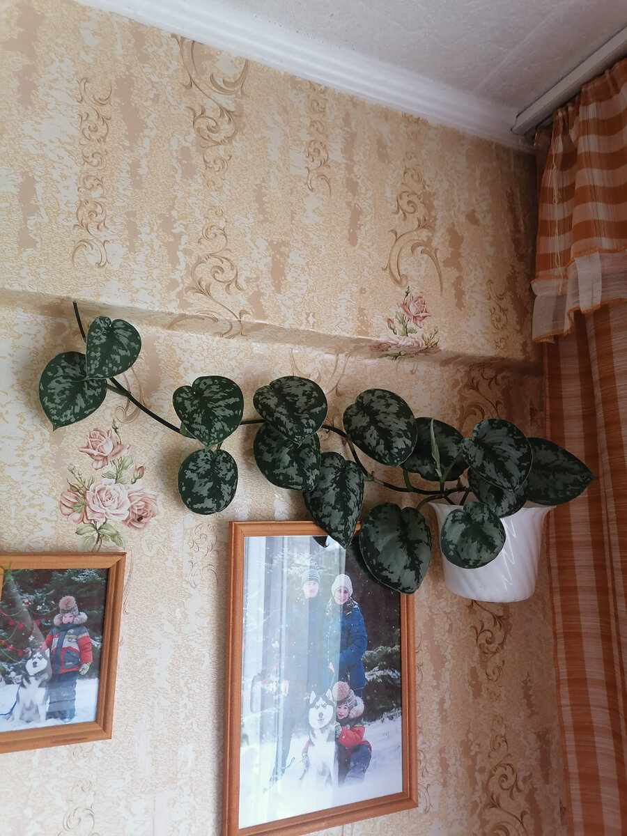 Фото автора.