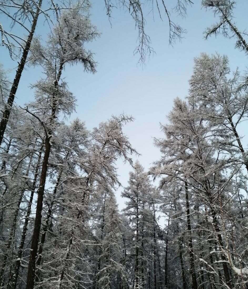 Зима в Якутии. -50.