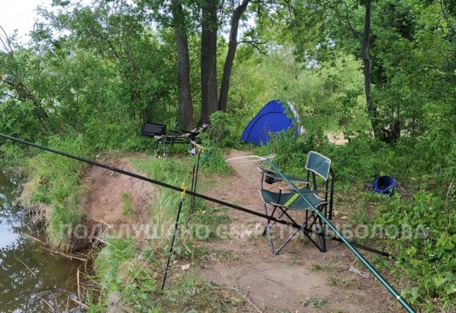 Лучшая рыбалка