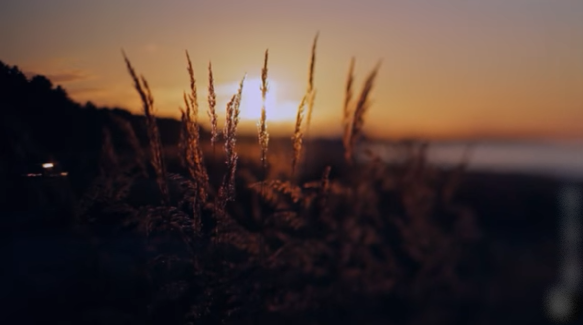 "Если у тебя будни во главе, знай, твоя жизнь прошла не зря".  (от автора)