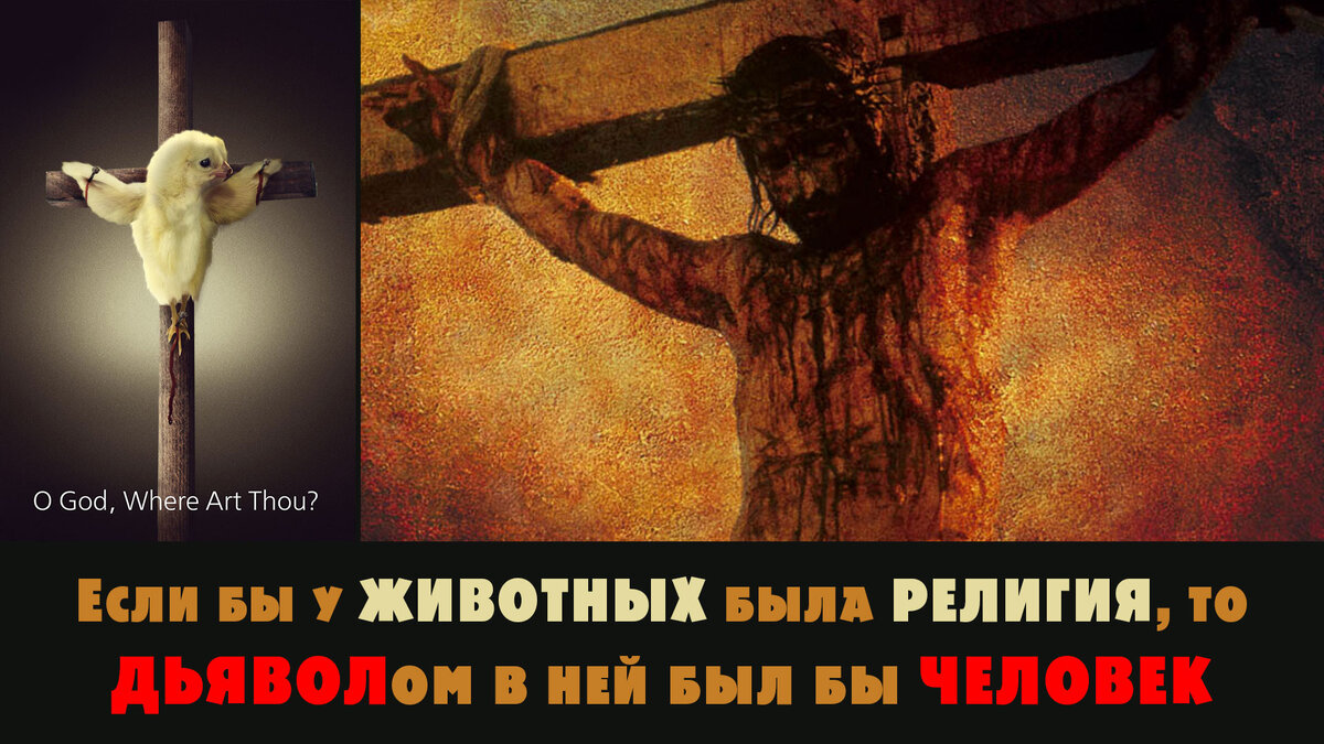 Веган секта. Вегетарианцы это сектанты. Вегетарианцы это сектанты. Я веган. Веган секта.