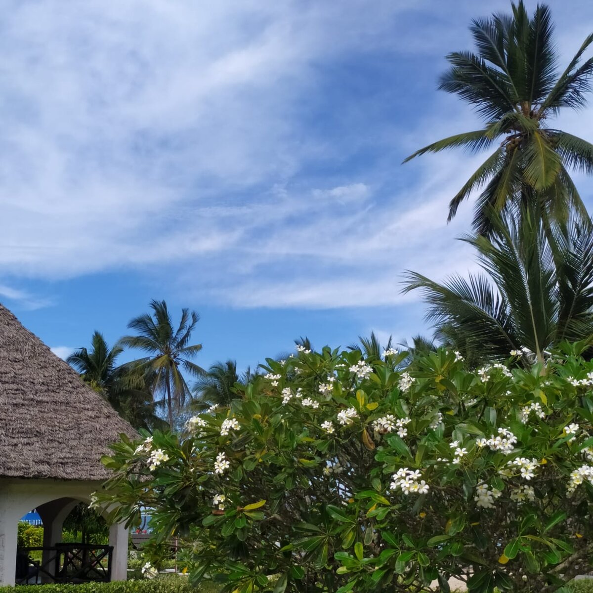 Единение с природой отель MERMAIDS COVE 4*