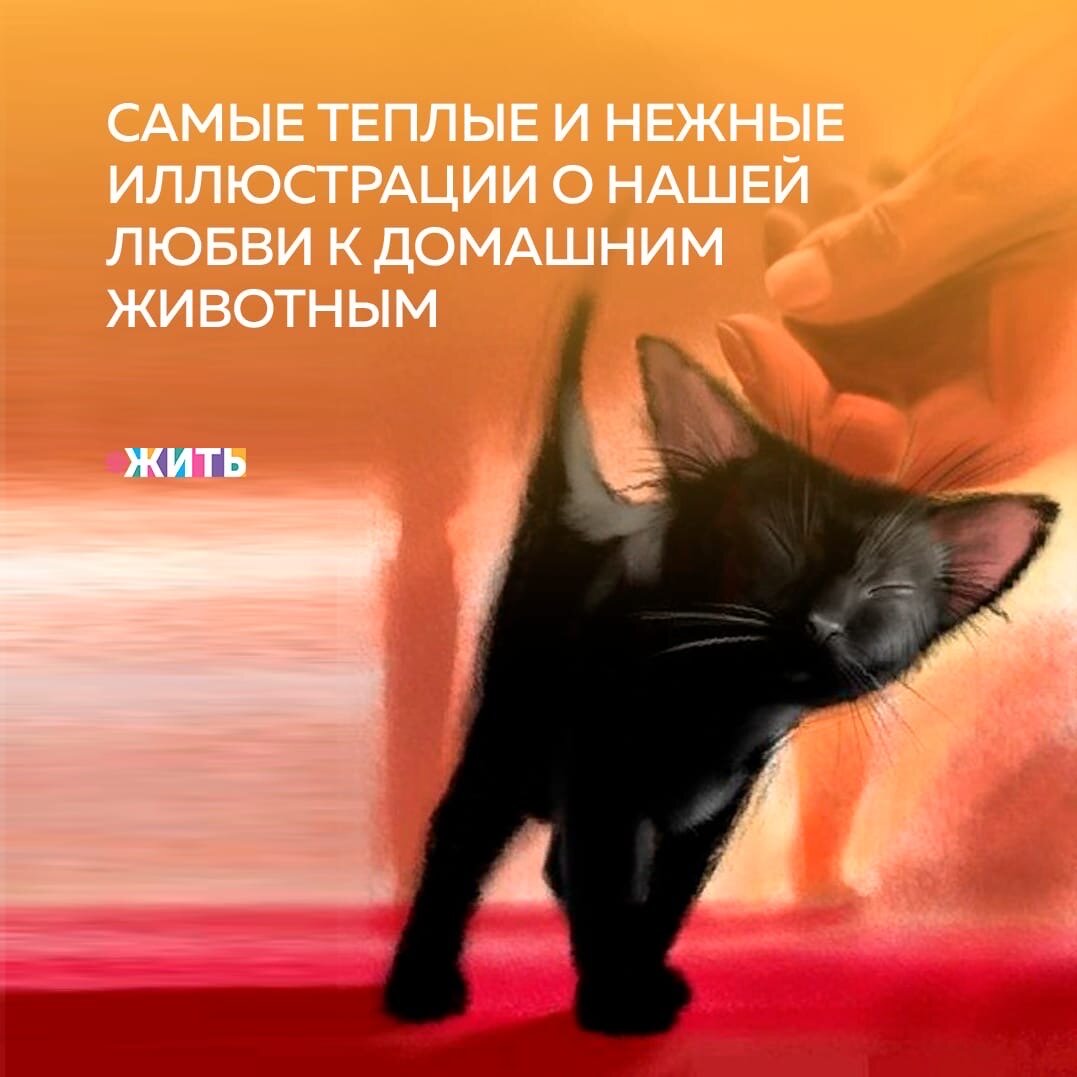 Были ли у Вас когда-либо домашние животные, которые наполняли Ваш дом беззаботностью, весельем и радостью, не ожидая ничего взамен? 

Тогда Вы понимаете, что это такое любить безусловно и всем сердцем своего четырехлапого друга, проводить дни в ожидании вечера, чтобы потрепать его за ухо. Именно домашние животные нам преданы и верны в любое время и при любых условиях🤗

Мы знаем, как глубока и сильна связь между животными и людьми, и поэтому выбрали лучшие иллюстрации, характеризующие необычайную любовь людей к их братьям меньшим❤️🙌

А как бы Вы описали отношения между Вами и Вашим младшим другом: лучший друг, помощник или родственная душа? А может у Вас свой вариант? Напишите нам😌

#жить #проектжить #животные