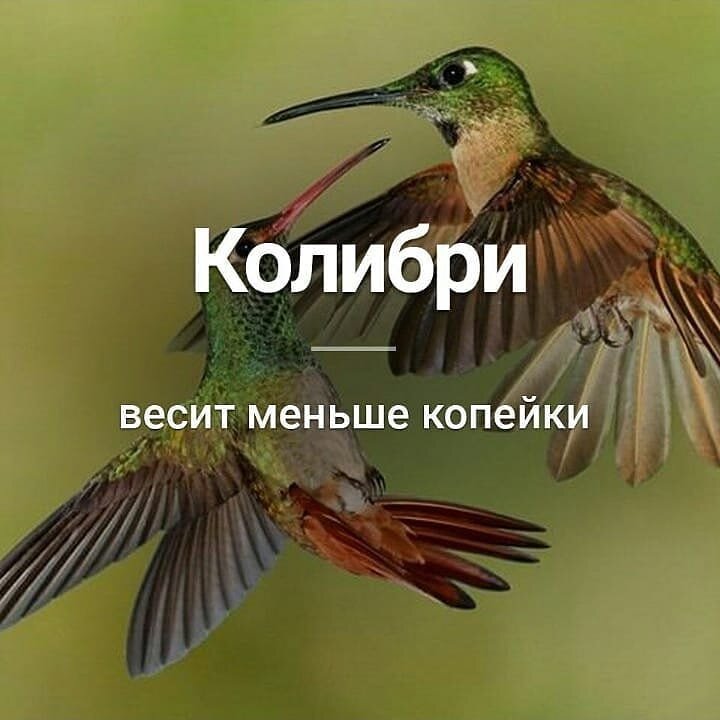 Интересные факты