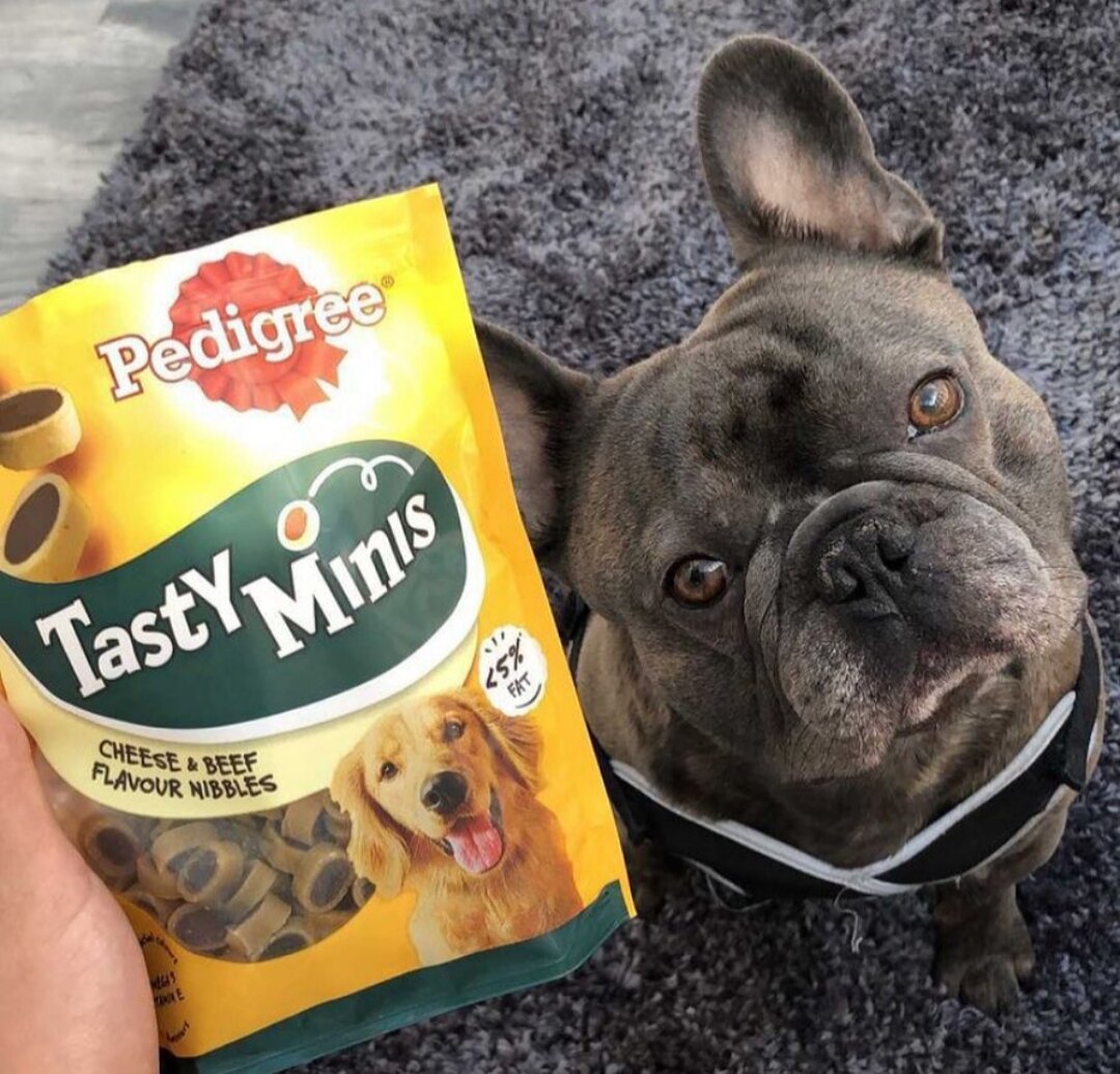 вкусняшки Pedigree Tasty Minis и французский бульдог