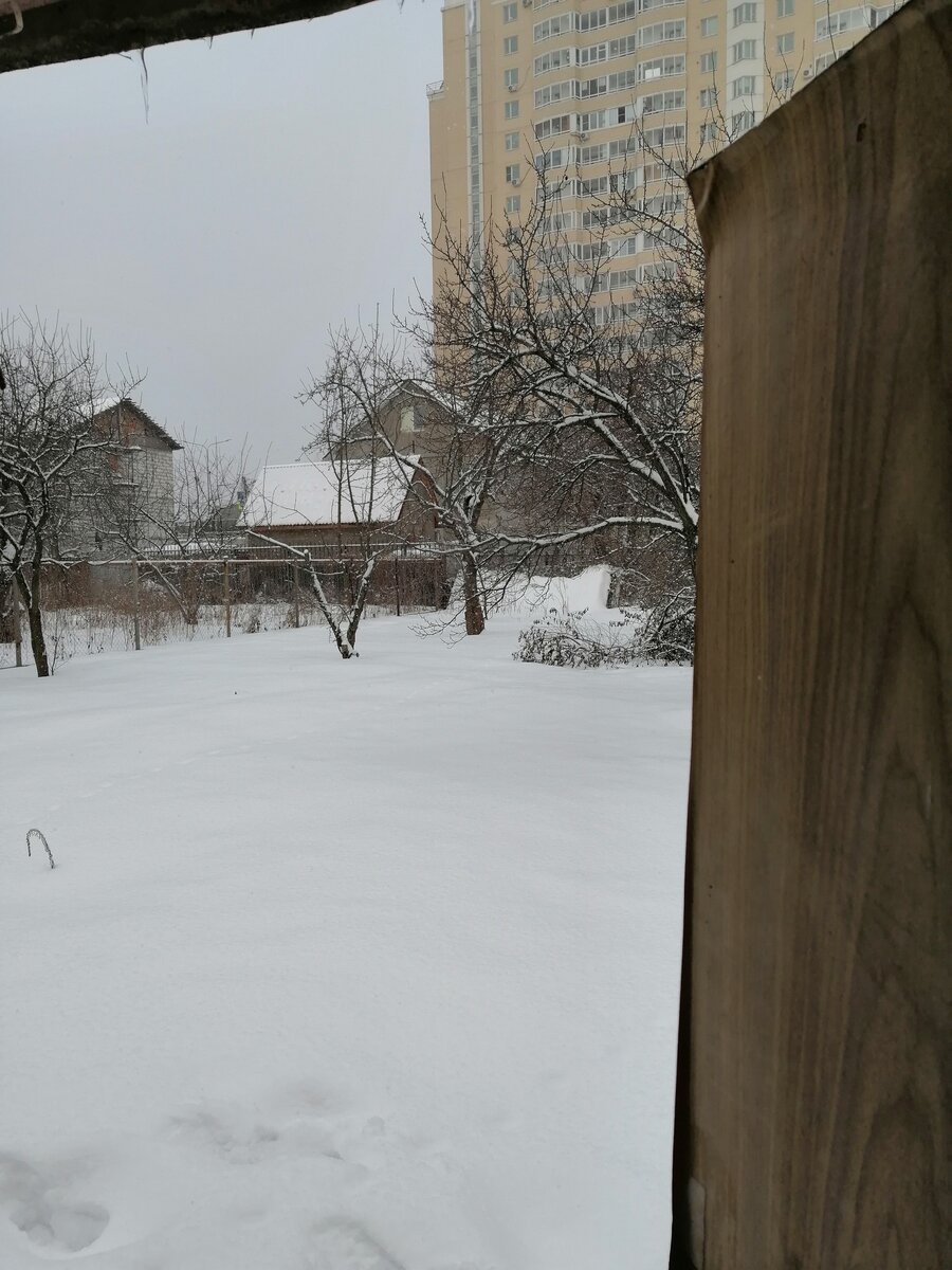 А это вид из домика моего) 