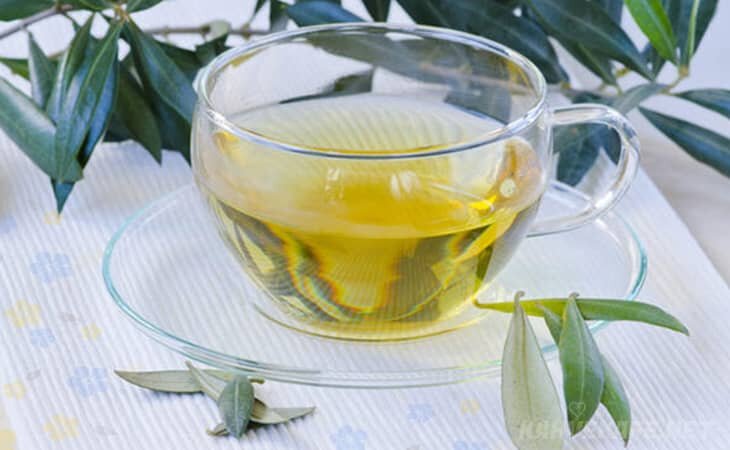 Zeytin Yaprağı Çayı Faydaları Nelerdir?