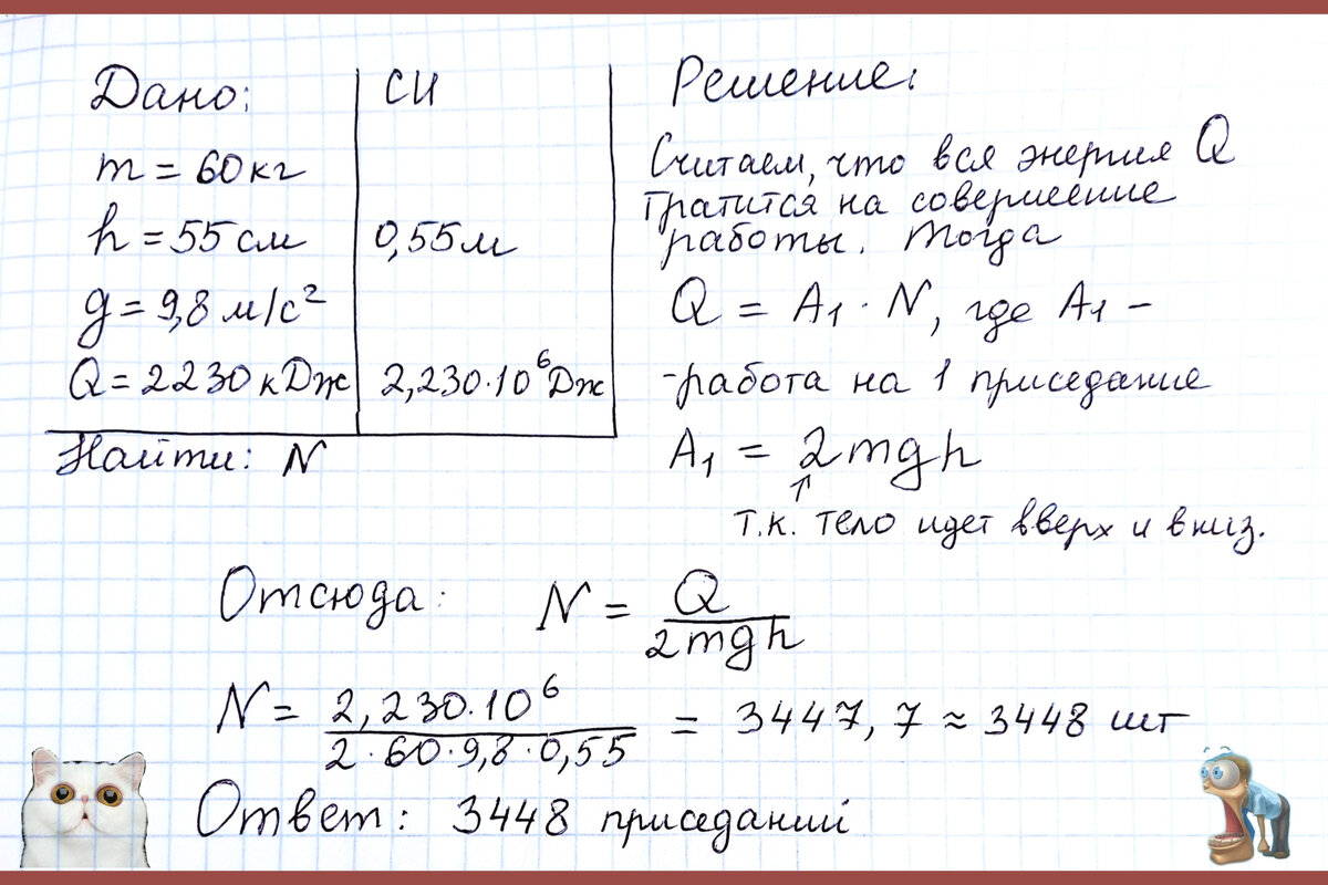 Сколько приседаний сделать, чтобы потратить калории шоколадки? | Великий  Шизик | Дзен