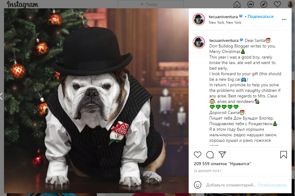 Овсянки сер?