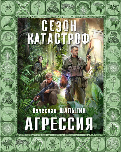 "Агрессия". Автор: Вячеслав Шалыгин