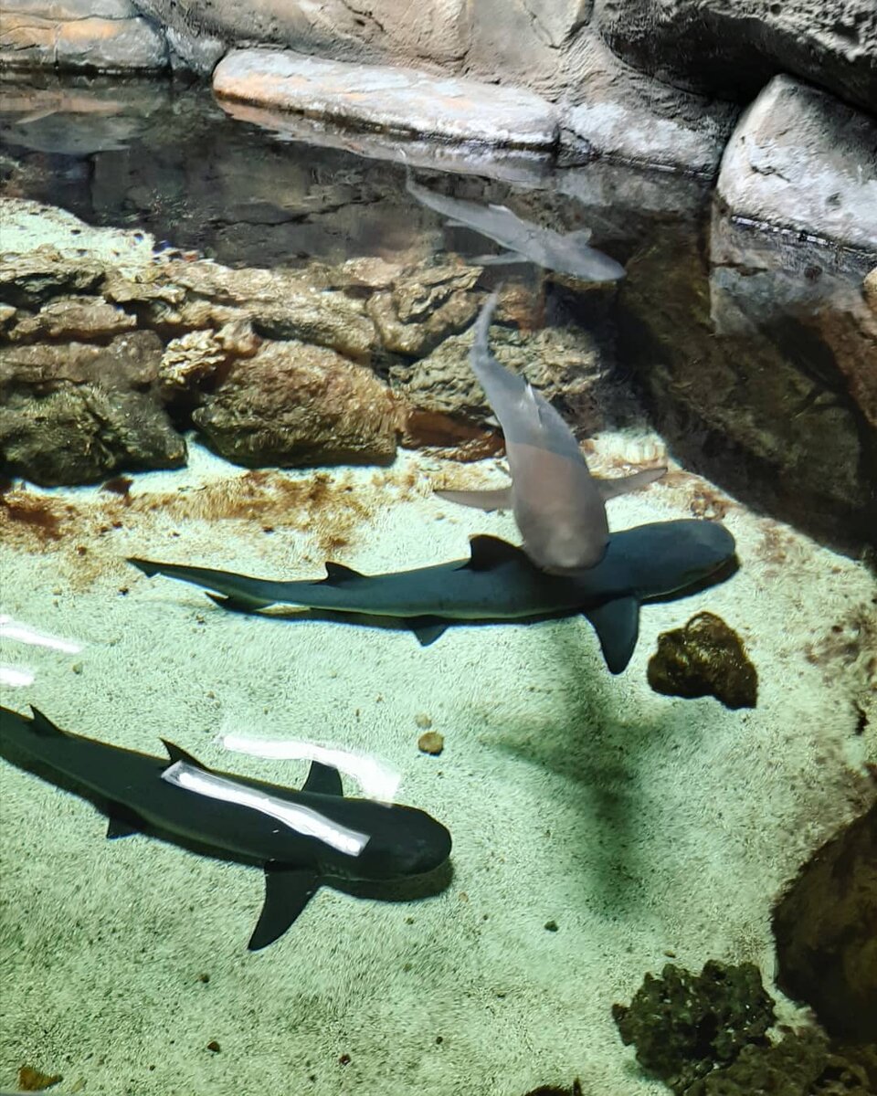 Фото из личного архива