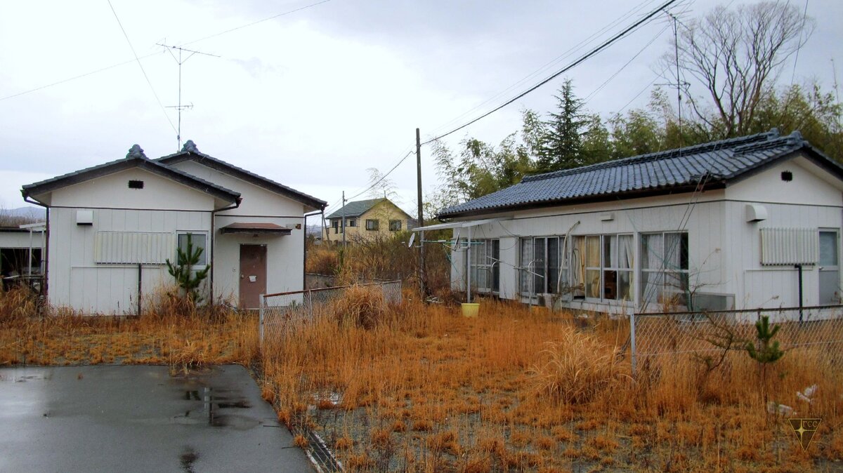 Фукусима, 4-й день в зоне отчуждения. Пустые городские улицы. Встреча с  кабаном. Ночные кладбища. | ГСС | Дзен