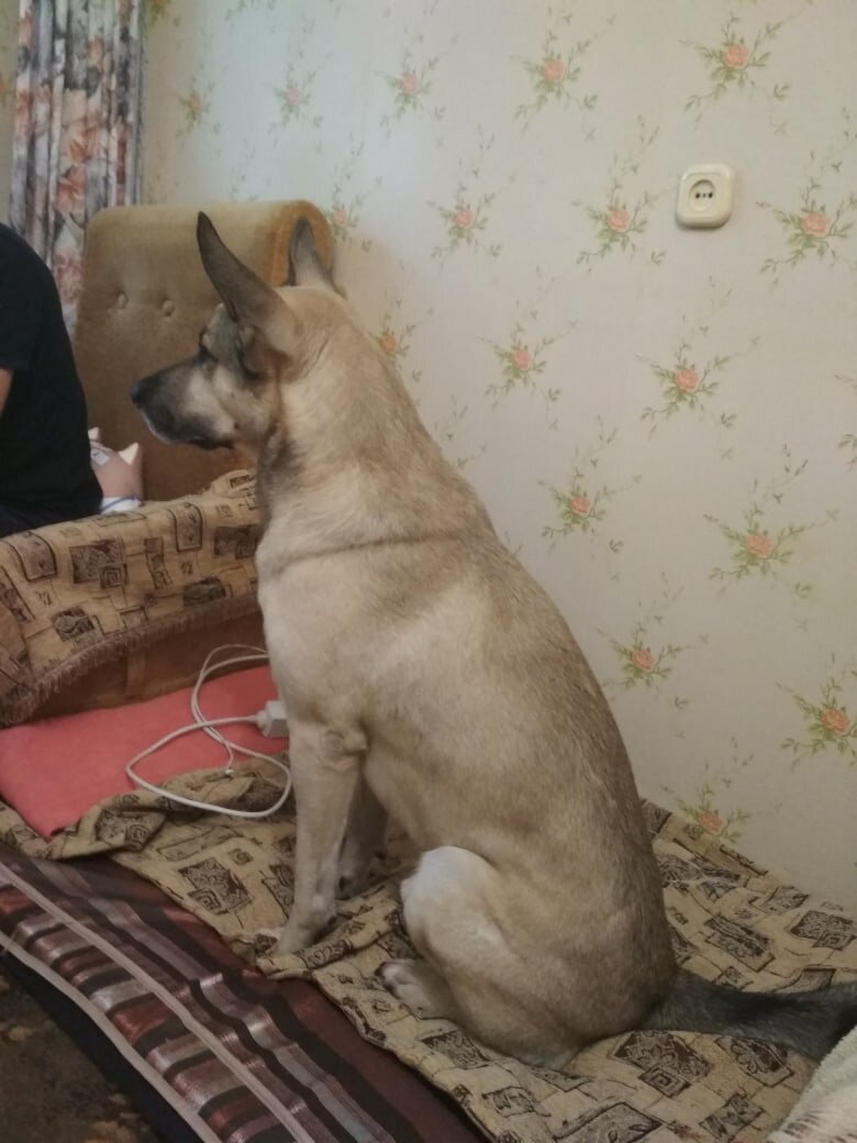 Большой взрослый серьезный мальчишка