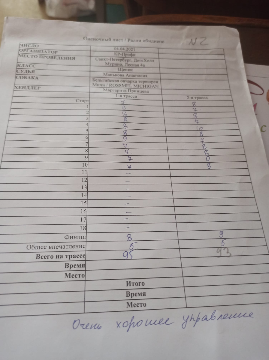 Оценочный лист Rossmel Michigan класс щенки