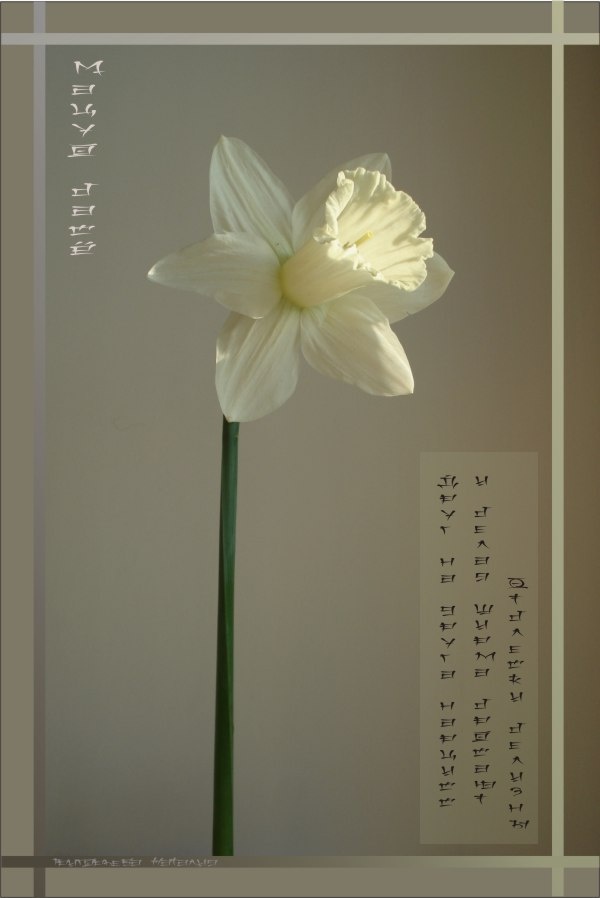 фото и обработка автора