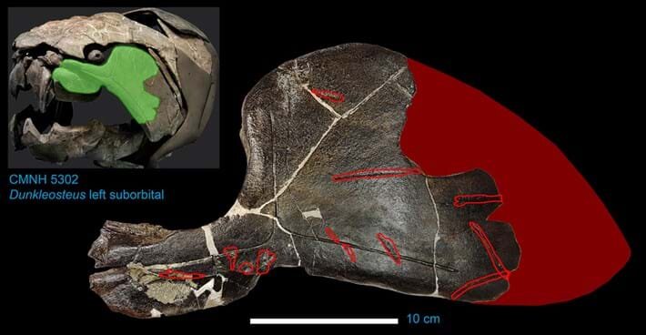 Источник: yandex.ru