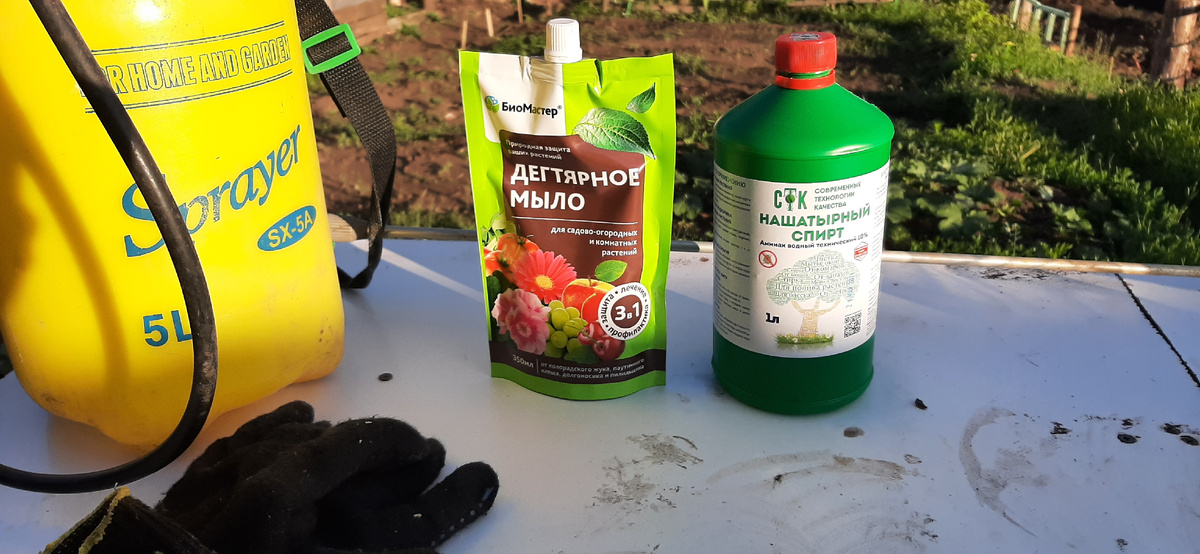 "Народная химия"