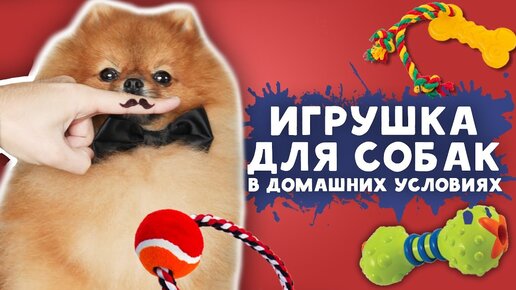 Игрушки для собак