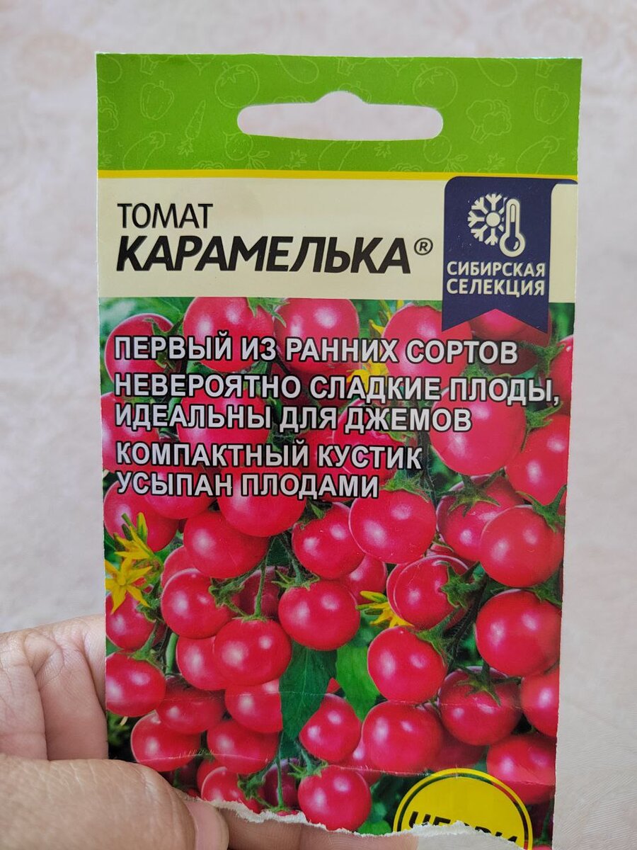 Помидоры карамелька фото. Томат изящный f1. Помидор Карамелька. Сорт томата Карамелька. Томат чери Карамелька.