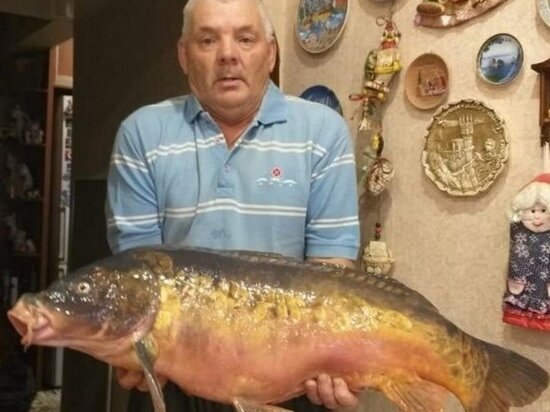     фото: https://vk.com/tulazest