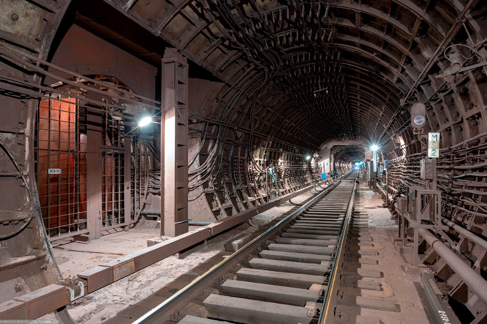 Фото из открытого источника