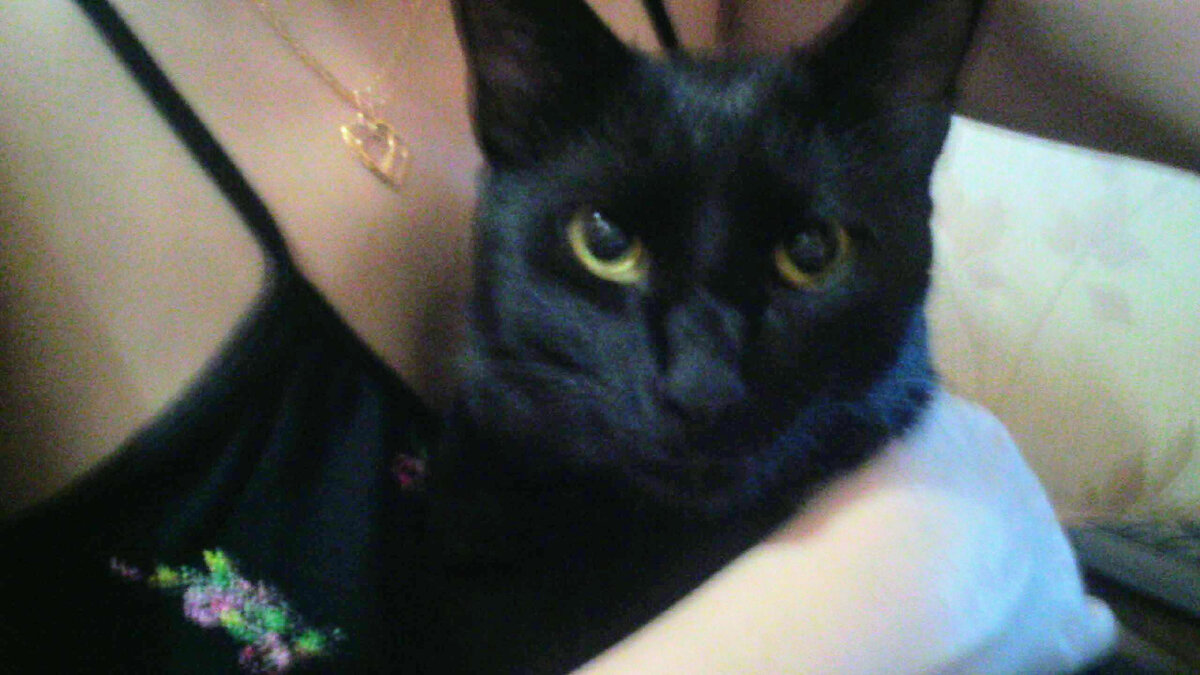 Мусик на ручках у "мамы". 